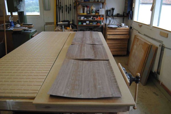 Dry run - panels and their veneers