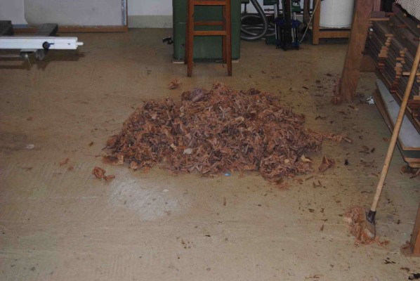 Pile of wood shavings after planing