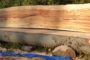 Flamed beech board fresh sawn on chainsaw mill