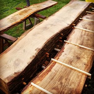 Ashtead Common Oak Grain