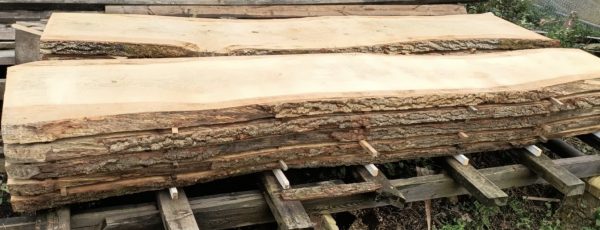 Astead Common Oak slabs